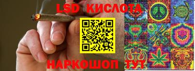 ГАЛЛЮЦИНОГЕННЫЕ ГРИБЫ Новозыбков