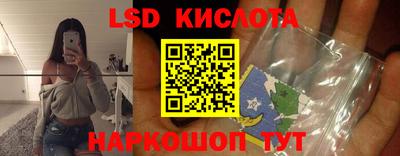 соль ск Новодвинск