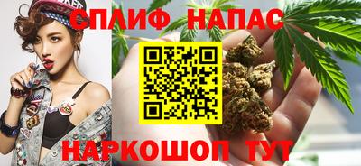 соль ск Новодвинск