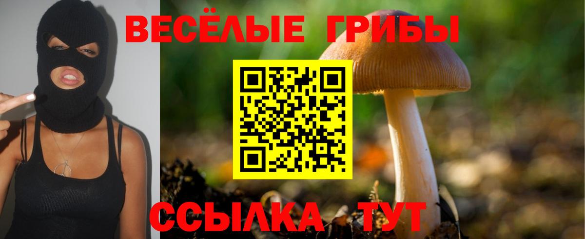 Галлюциногенные грибы прущие грибы Тольятти